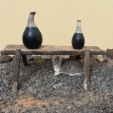 Finca Bonita Fuerteventura Πανσιόν Villaverde (Fuerteventura)