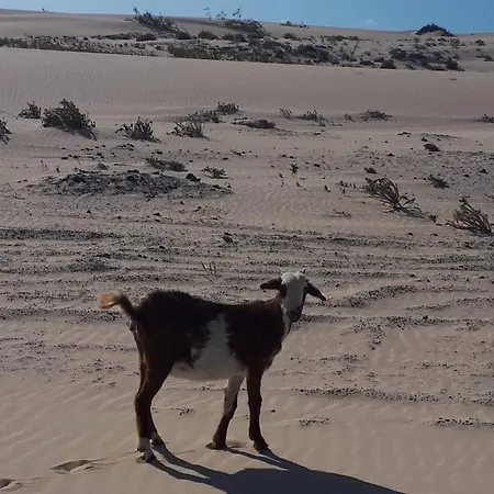 Πανσιόν Finca Bonita Fuerteventura *